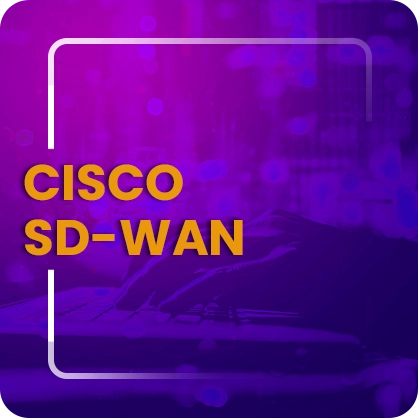 A man typing on a keyboard in background and Cisco SD-WAN written in front.