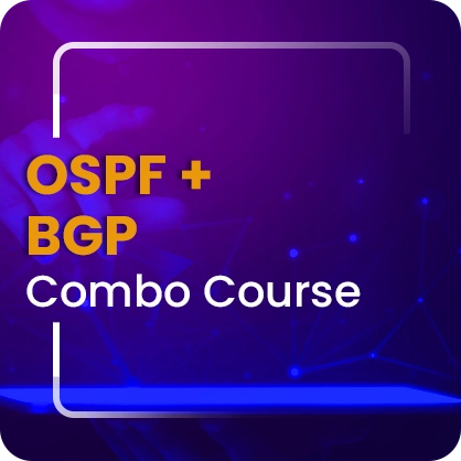 OSPF + BGP combo course